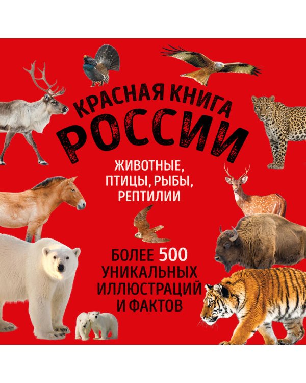 Красная книга России. Большой формат. Более 500 уникальных иллюстраций и фактов (новое издание) (основной)