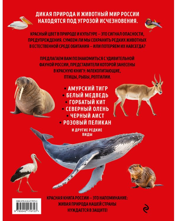 Красная книга России. Большой формат. Более 500 уникальных иллюстраций и фактов (новое издание) (основной)