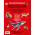 Красная книга России. Большой формат. Более 500 уникальных иллюстраций и фактов (новое издание) (основной)