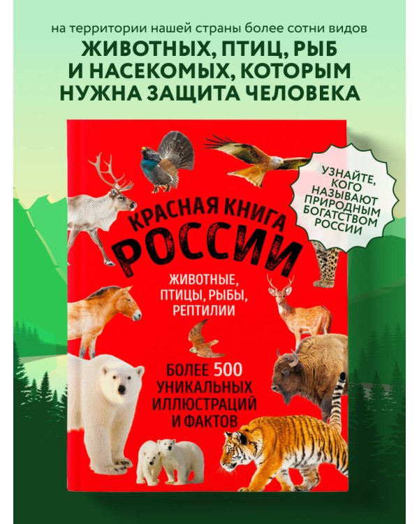 Красная книга России. Большой формат. Более 500 уникальных иллюстраций и фактов (новое издание) (основной)