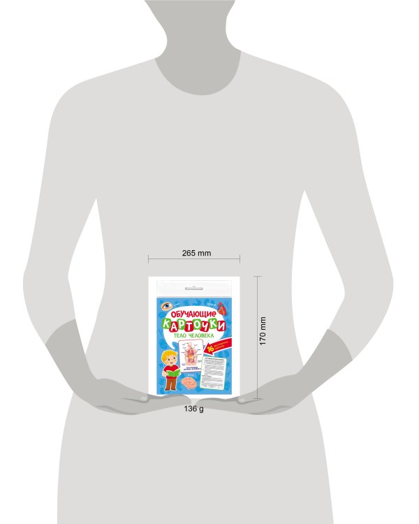 ОБУЧАЮЩИЕ КАРТОЧКИ европодвес. ТЕЛО ЧЕЛОВЕКА
