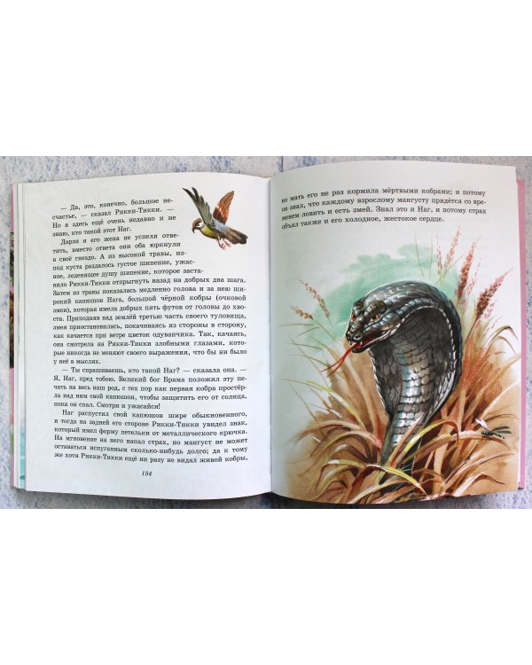 Лучшие сказки для детей (ил. В. Канивца)