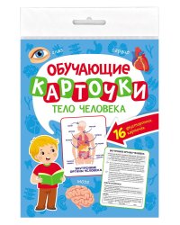 ОБУЧАЮЩИЕ КАРТОЧКИ европодвес. ТЕЛО ЧЕЛОВЕКА