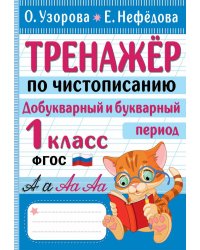 Тренажер по чистописанию. Добукварный и букварный период. 1 класс