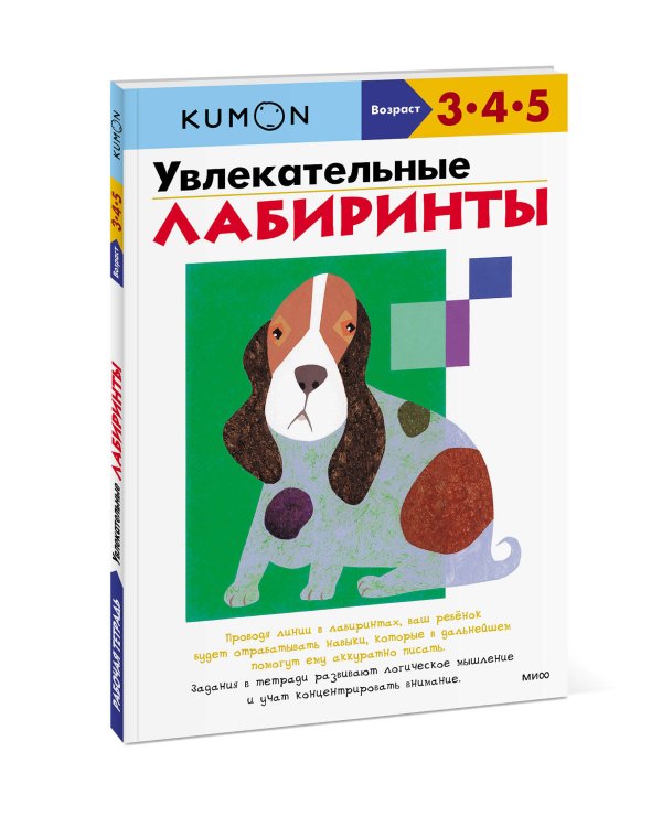 Увлекательные лабиринты