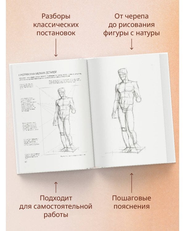 База академического рисунка. Фигура человека, голова, портрет и капитель