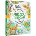 Чудеса природы. 50 историй в картинках для детей