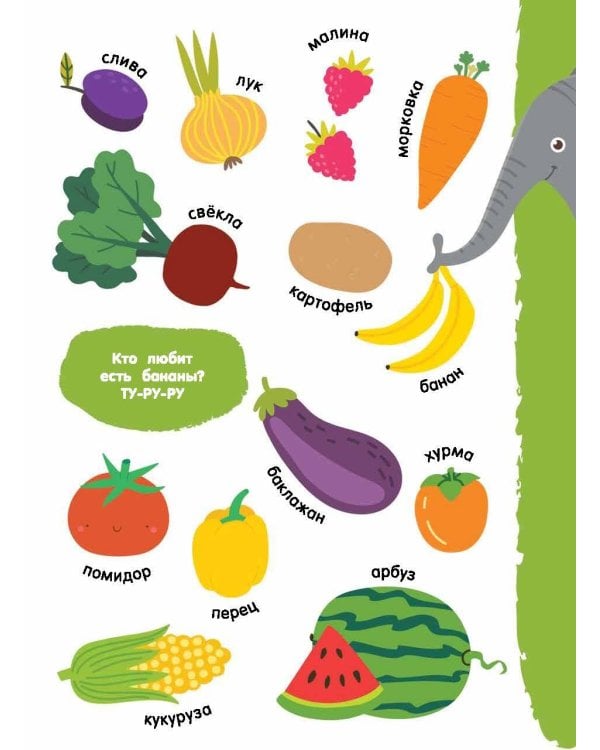 Мои первые слова в картинках