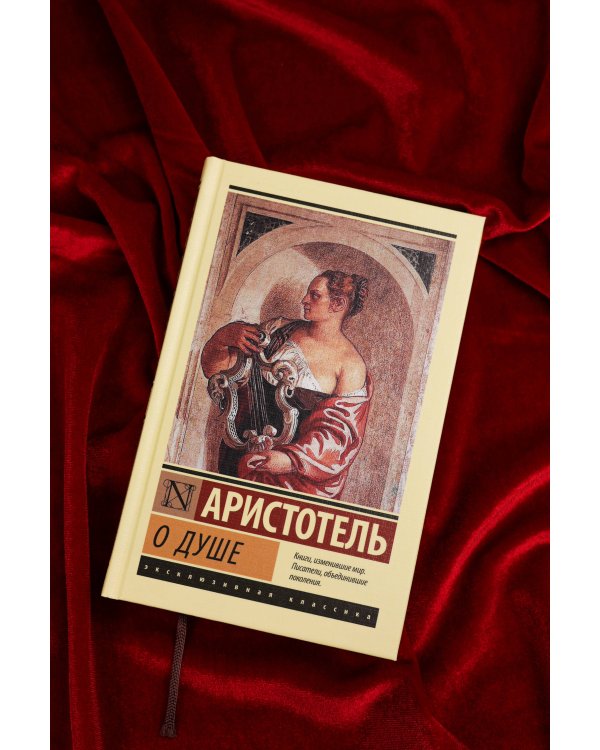 О душе