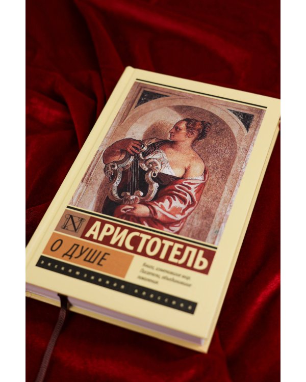 О душе