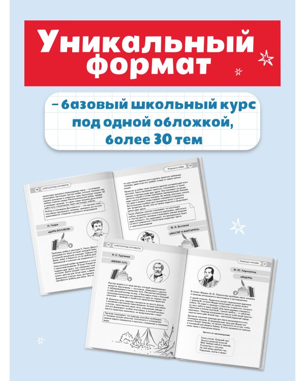 Литературные аргументы. Подготовка к сочинению за час
