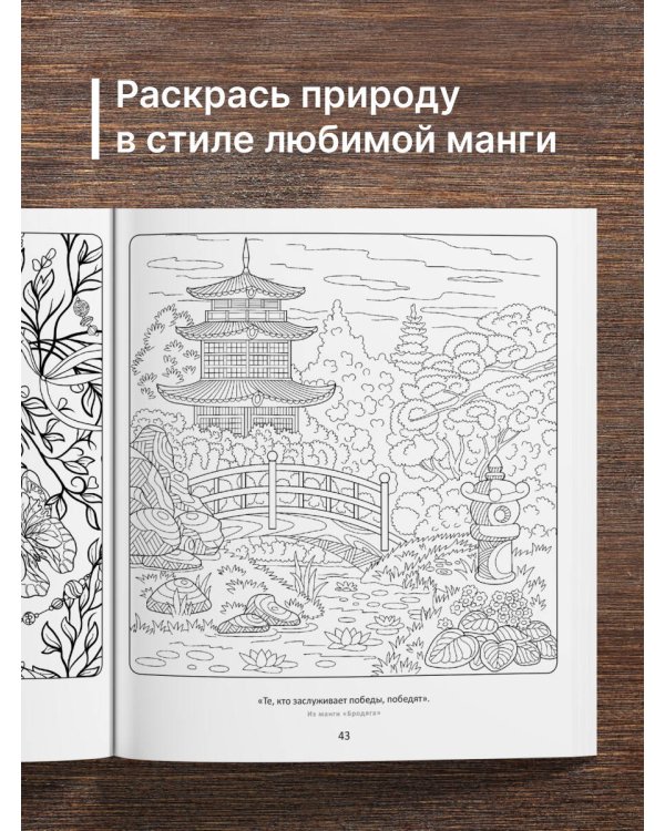 Манга. Зачарованный лес. Рисунки для медитаций