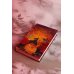 Путешествие с Фениксом. Книга 1