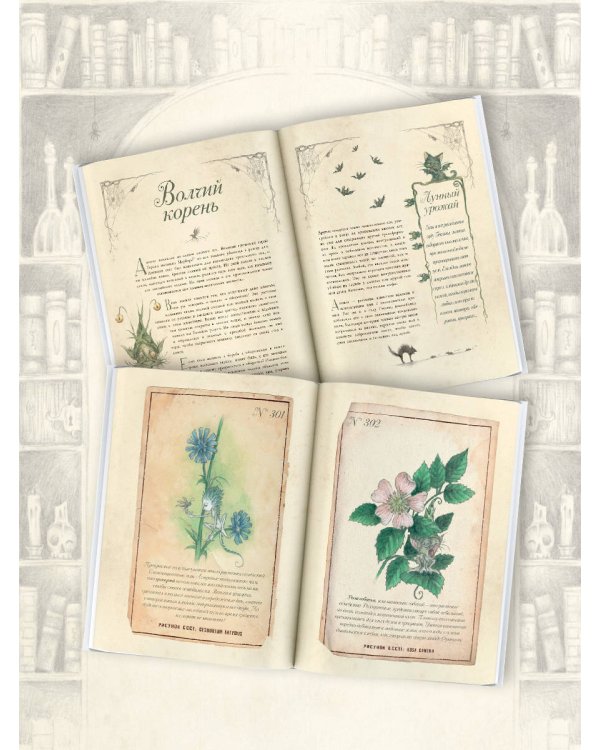 Секреты колдовских растений