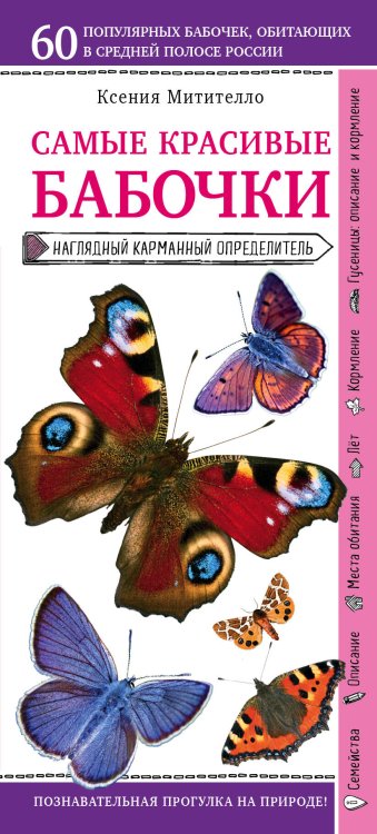 Природа в кармане Бабочки. Наглядный карманный определитель (для ПР)