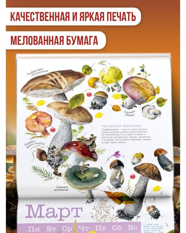 Календарь Грибы 2026 год