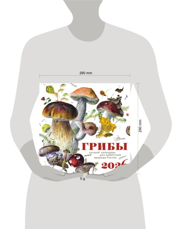 Календарь Грибы 2026 год