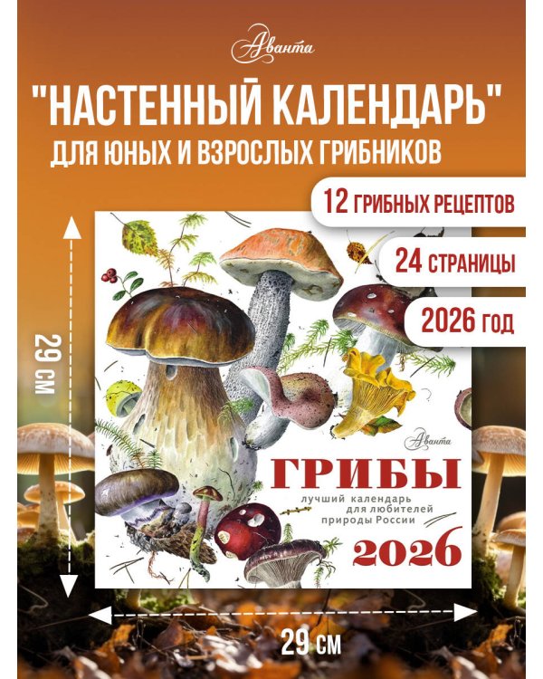 Календарь Грибы 2026 год