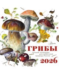 Календарь Грибы 2026 год