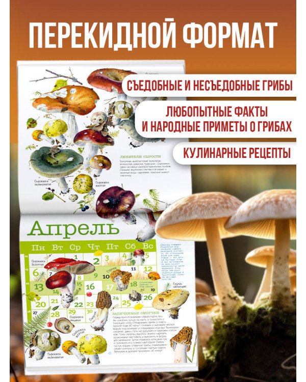 Календарь Грибы 2026 год