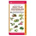 Листья деревьев. Как узнать растение