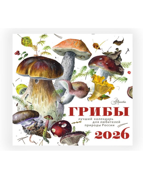 Календарь Грибы 2026 год