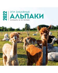 Эти забавные альпаки. Календарь настенный на 16 месяцев на 2022 год (300х300 мм)