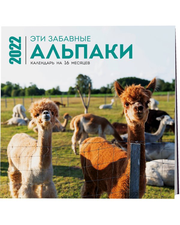Эти забавные альпаки. Календарь настенный на 16 месяцев на 2022 год (300х300 мм)