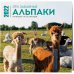 Эти забавные альпаки. Календарь настенный на 16 месяцев на 2022 год (300х300 мм)