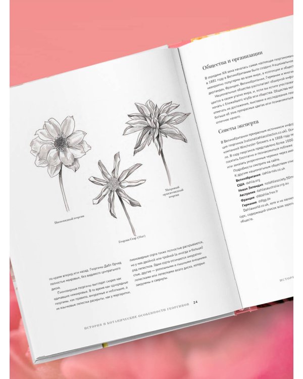 Георгины. Необыкновенные цветы для дома и сада