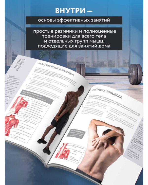 Анатомия упражнений с собственным весом. Как использовать собственный вес на 100 %