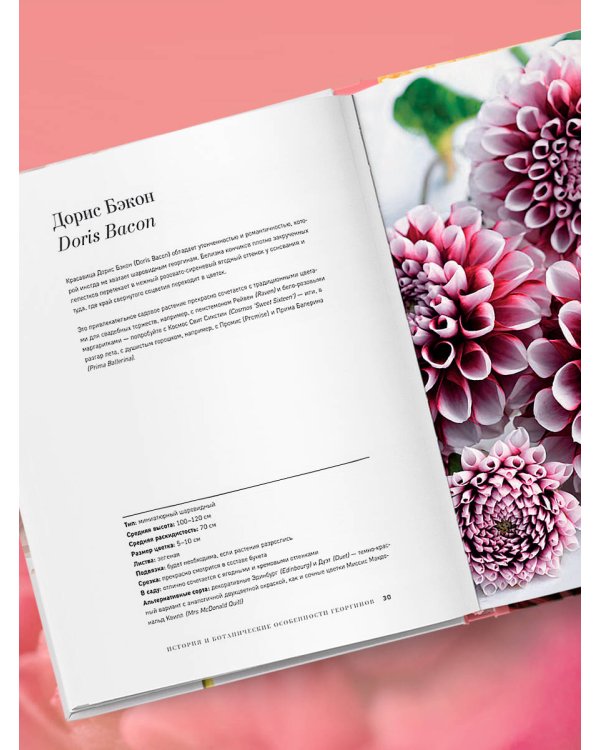 Георгины. Необыкновенные цветы для дома и сада