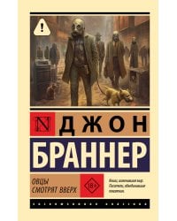 Овцы смотрят вверх