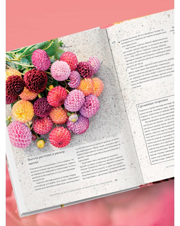 Георгины. Необыкновенные цветы для дома и сада