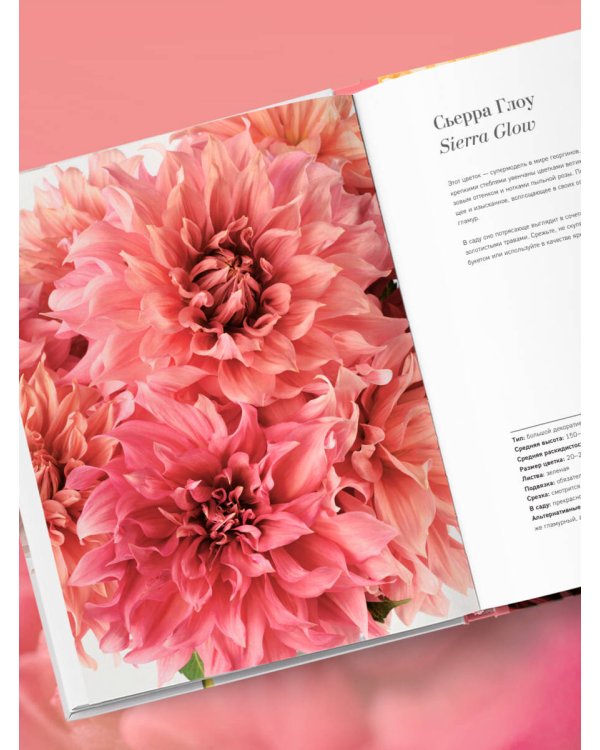 Георгины. Необыкновенные цветы для дома и сада