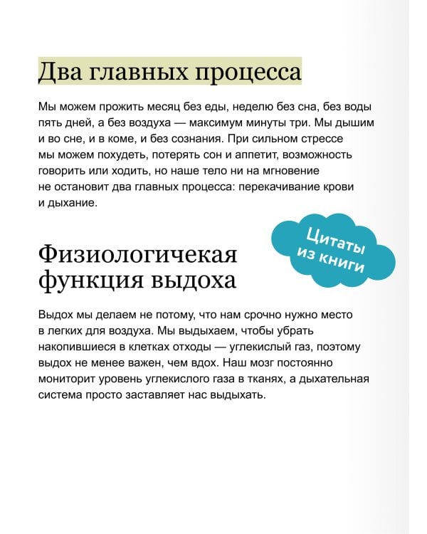 Дыхание: простой инструмент для ментального и физического здоровья