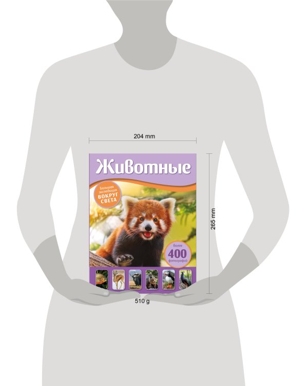Дополнительное изображение книги «Животные. Большая экспедиция вокруг света»