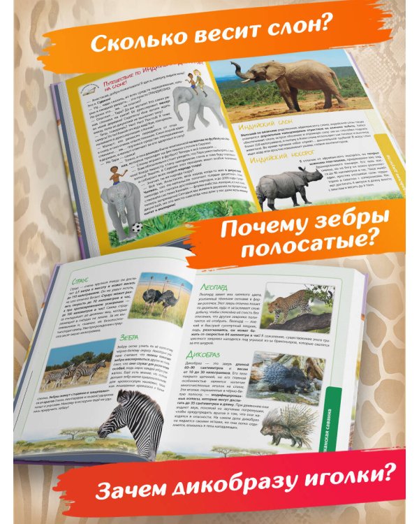 Дополнительное изображение книги «Животные. Большая экспедиция вокруг света»