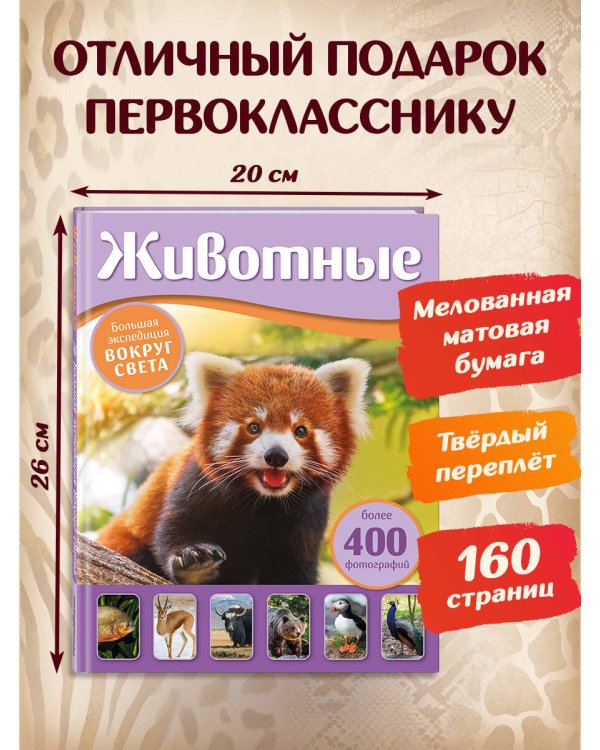 Дополнительное изображение книги «Животные. Большая экспедиция вокруг света»