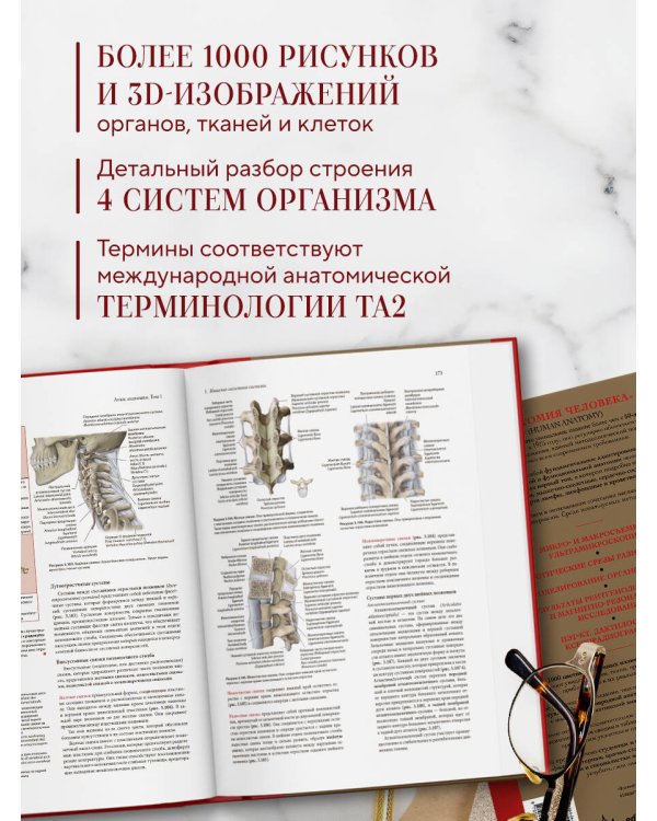Анатомия человека. Эксклюзивное издание с 50-летней историей. Том 1