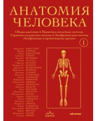 Анатомия человека. Эксклюзивное издание с 50-летней историей. Том 1