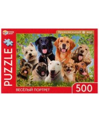 Весёлый портрет. Удивительный мир. Пазл классический в коробке. 500 деталей. Умные игры  в кор.10шт