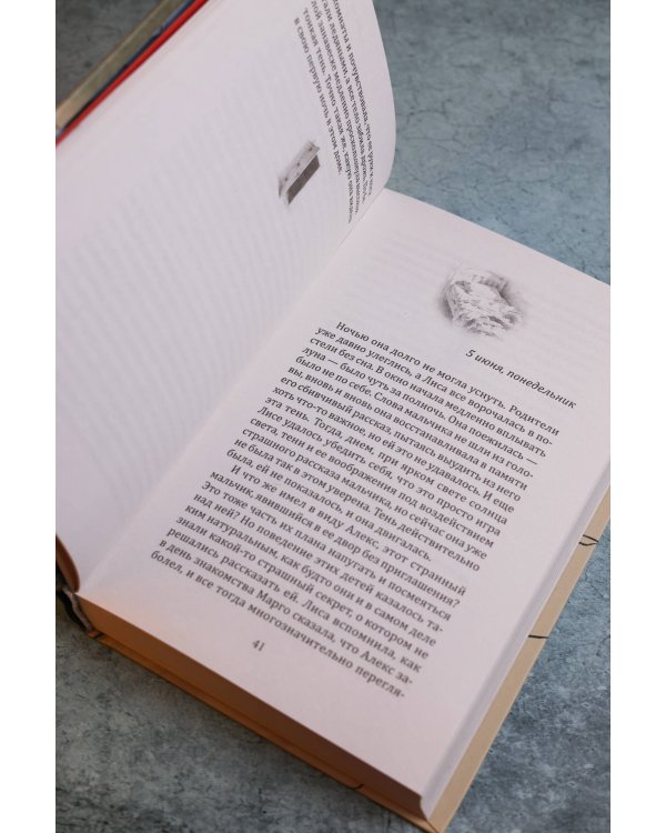 Дополнительное изображение книги «Дочки-матери»