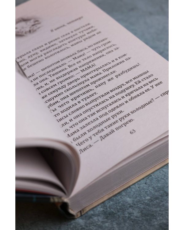 Дополнительное изображение книги «Дочки-матери»