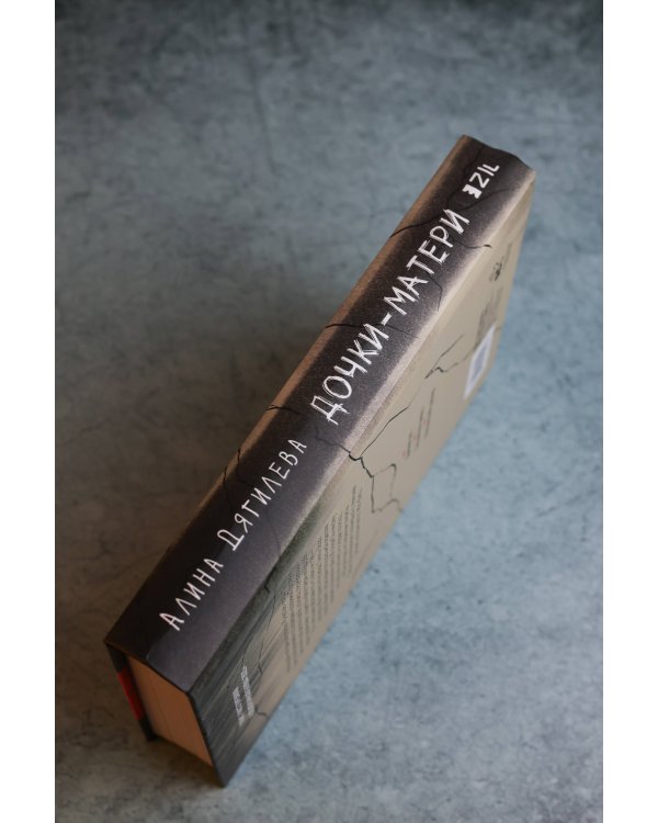 Дополнительное изображение книги «Дочки-матери»
