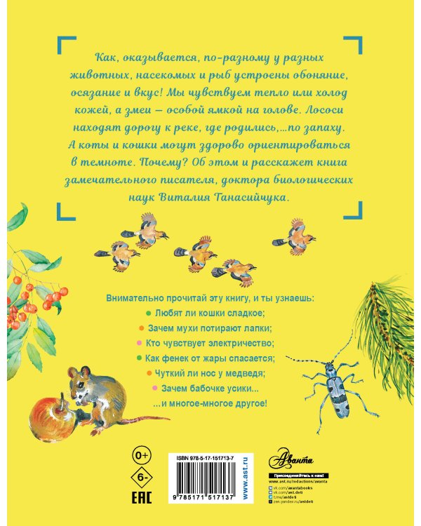 Для чего коту усы?