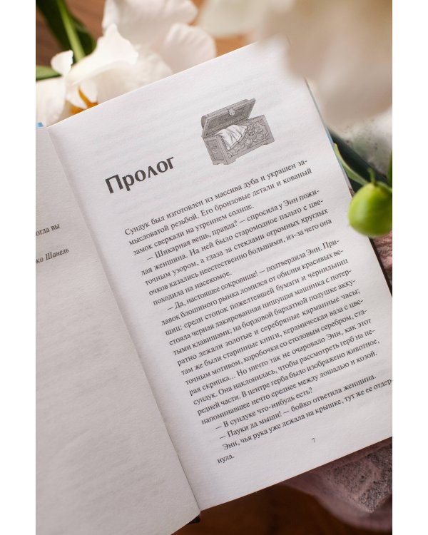 Книжная деревушка в Шотландии. Лето надежд