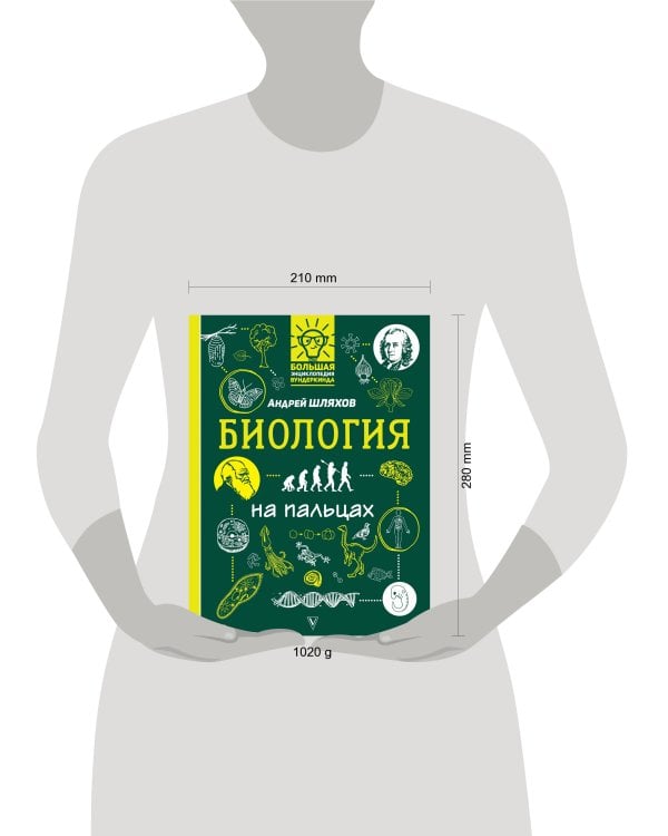 Биология на пальцах: в иллюстрациях