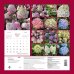 Календари настенные 2025 (300х300) Гортензии в саду. Календарь настенный на 2025 год (300х300 мм)