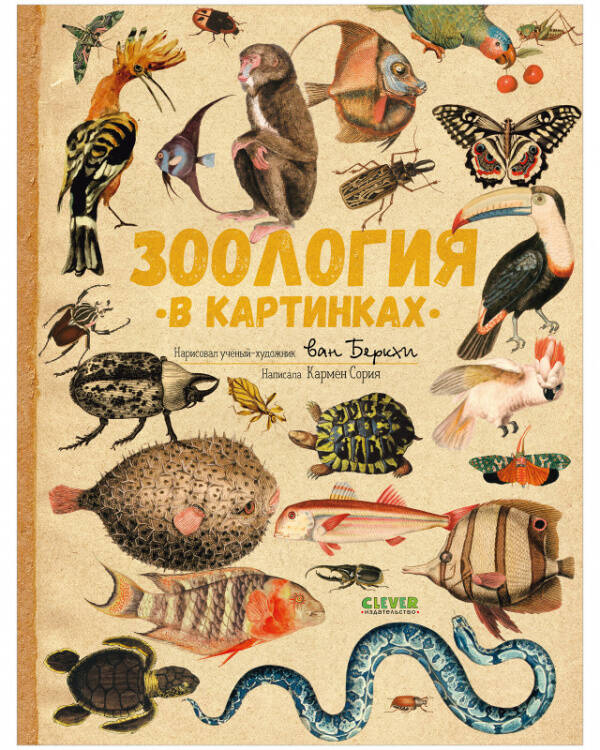 Удивительные энциклопедии. Зоология в картинках 8362